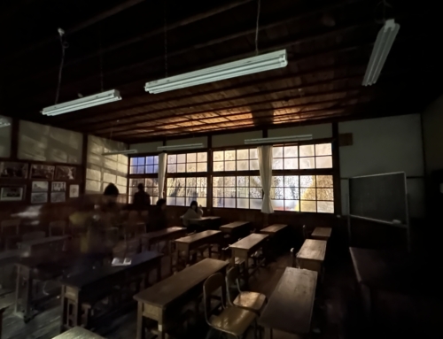 令和８年４月２日　宵の口「杵原学校の大枝垂れ桜の様子」　散り始め　ー３分～